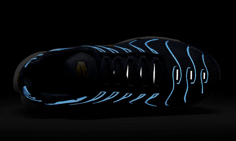 TN Air Max Plus ‘France Mid FFF’