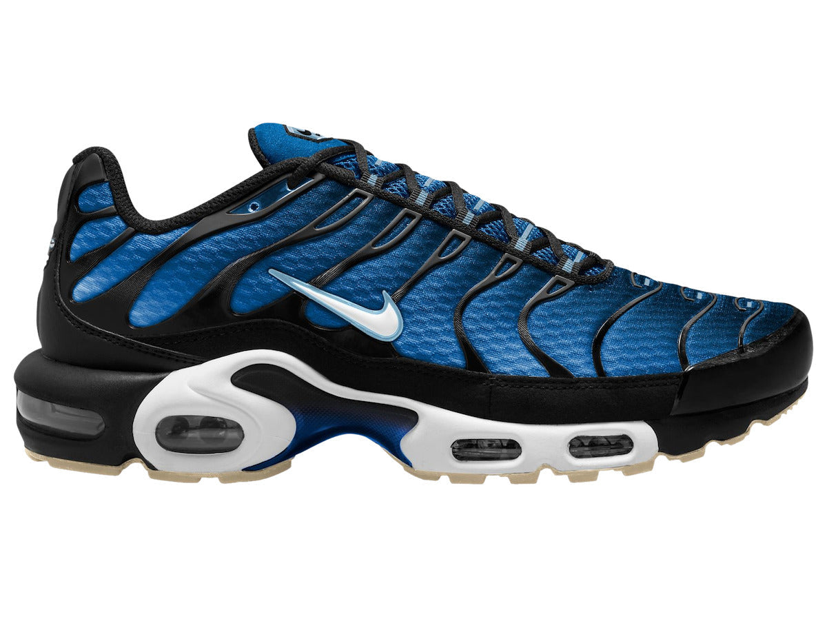 TN Air Max Plus ‘Full Aqua’