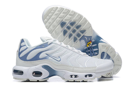 TN Air Max Plus ‘Ashen Slate’