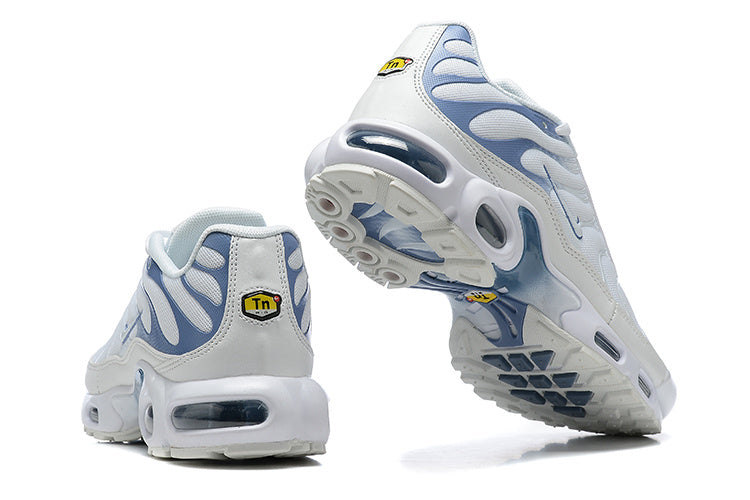 TN Air Max Plus ‘Ashen Slate’