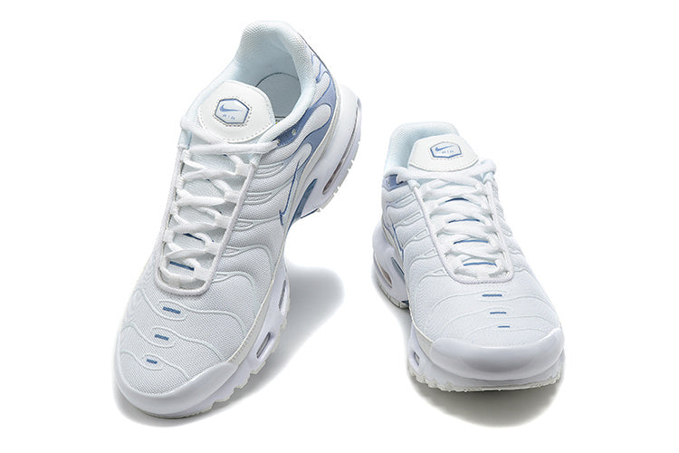 TN Air Max Plus ‘Ashen Slate’