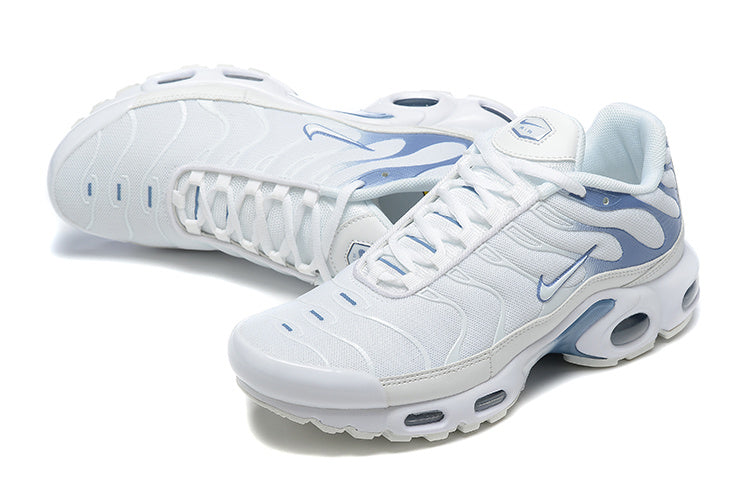 TN Air Max Plus ‘Ashen Slate’