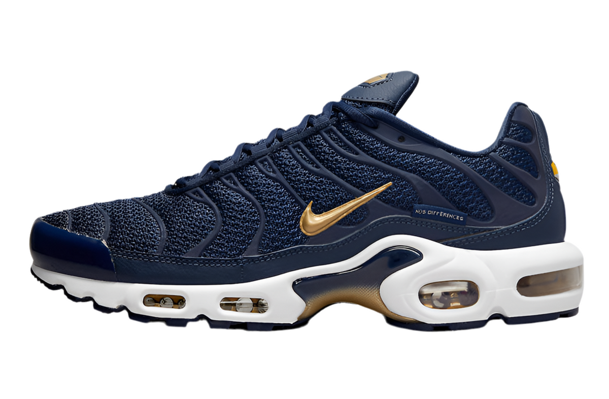 TN Air Max Plus ‘France Mid FFF’