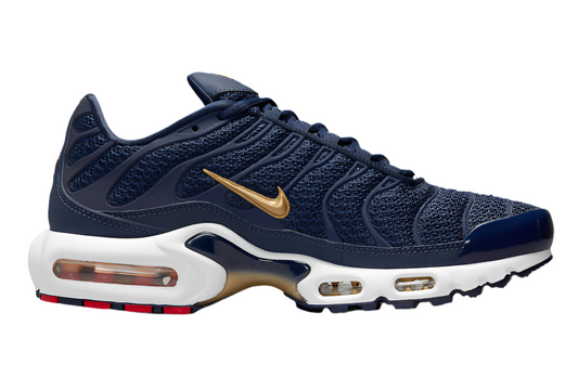 TN Air Max Plus ‘France Mid FFF’