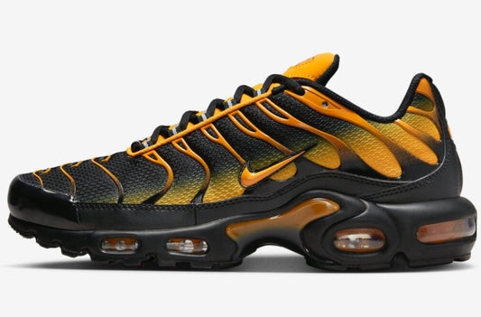 TN Air Max Plus ‘Royal BO’