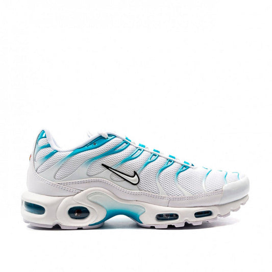 TN Air Max Plus ‘Blue Fury’