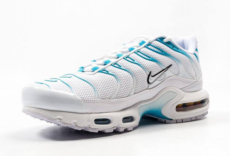 TN Air Max Plus ‘Blue Fury’