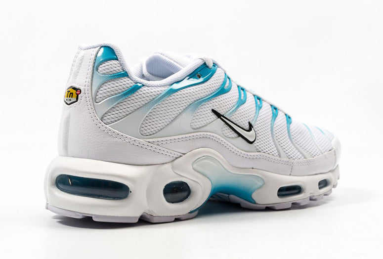 TN Air Max Plus ‘Blue Fury’