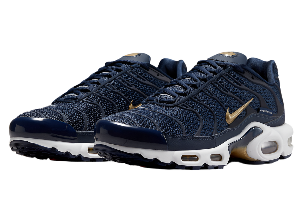 TN Air Max Plus ‘France Mid FFF’