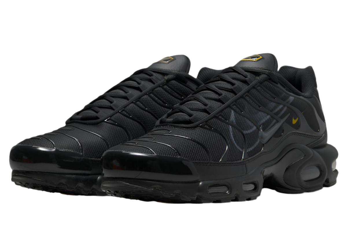 TN Air Max Plus ‘Multi-Swoosh Black’