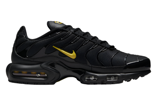 TN Air Max Plus ‘Multi-Swoosh Black’