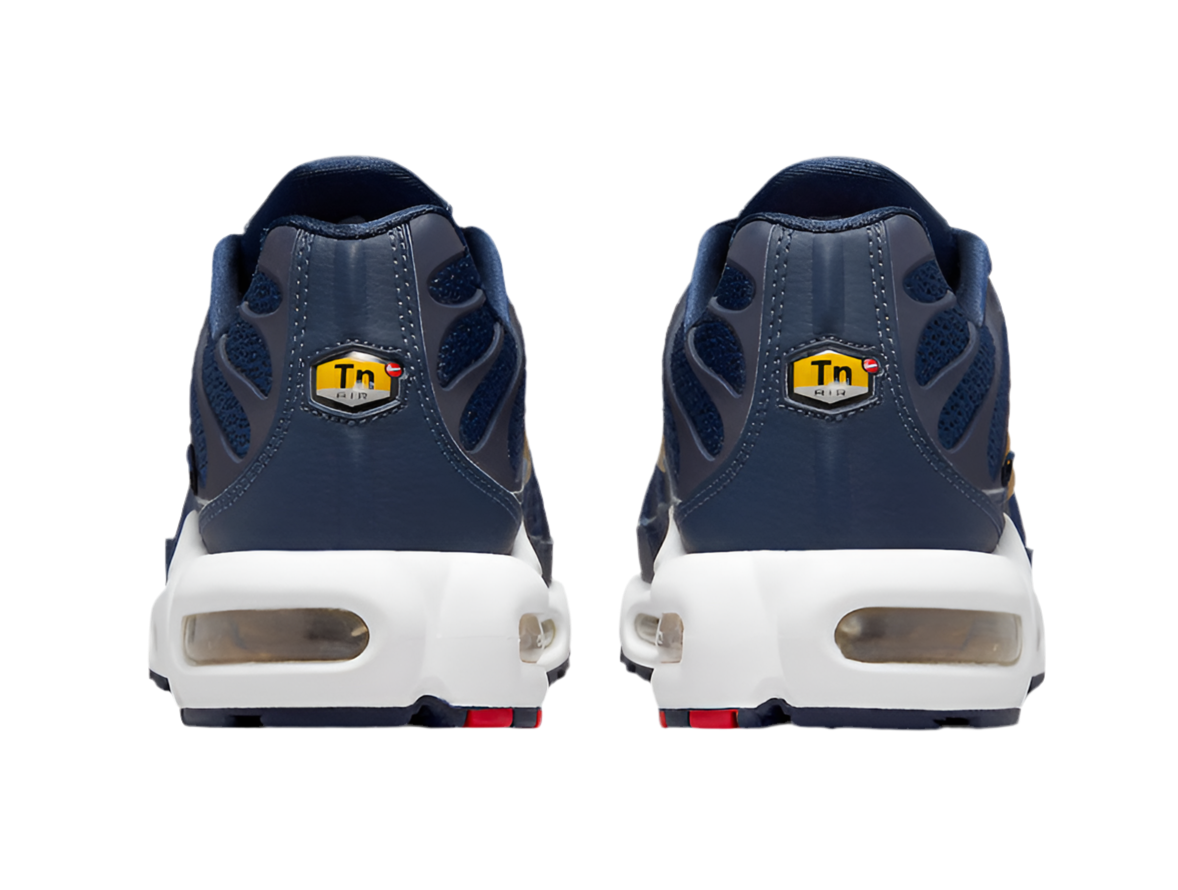 TN Air Max Plus ‘France Mid FFF’