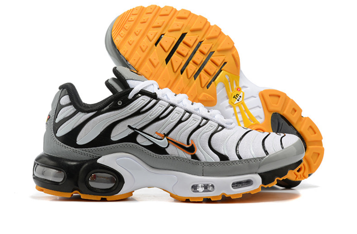 TN Air Max Plus ‘Double Swoosh mean’