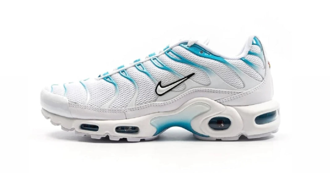 TN Air Max Plus ‘Blue Fury’