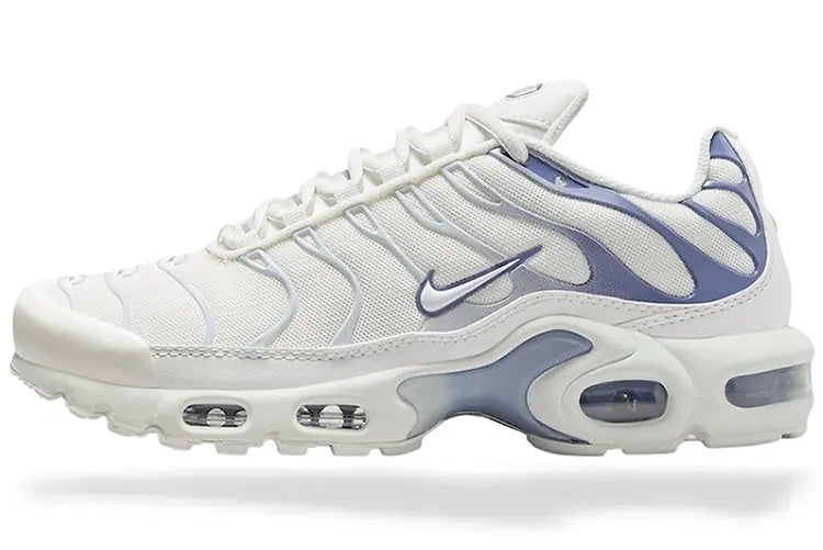 TN Air Max Plus ‘Ashen Slate’